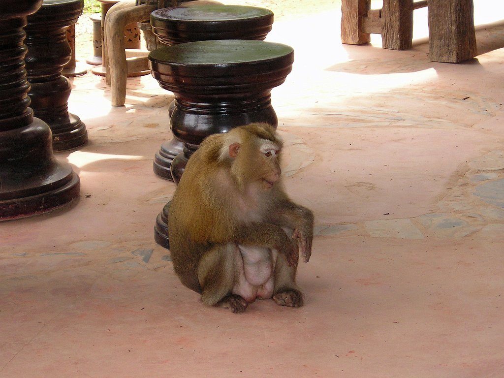 Nationalparken Kaho Sok 042