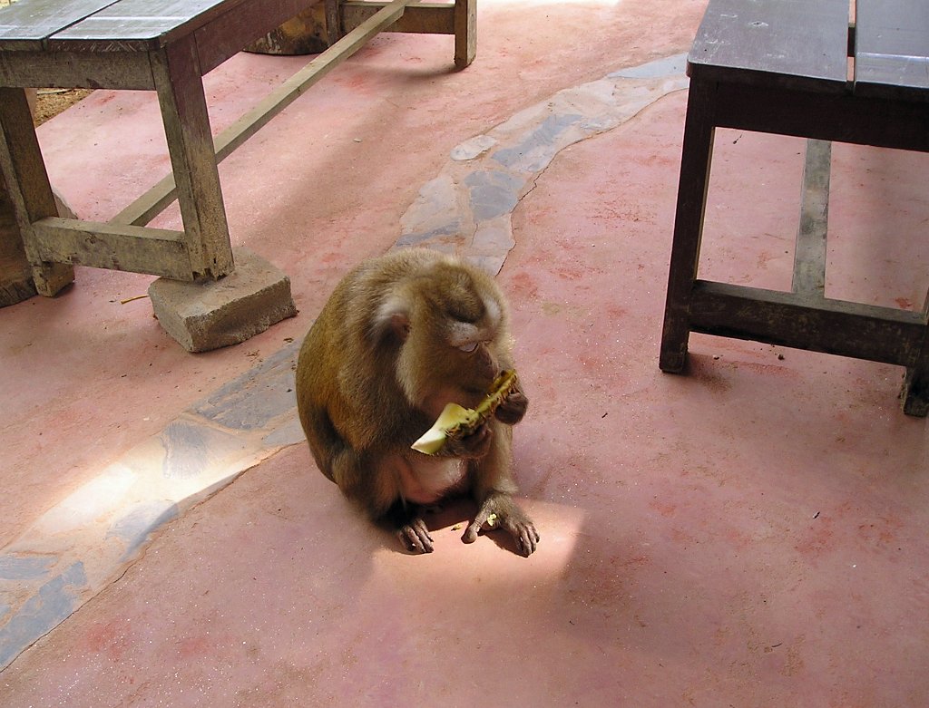 Nationalparken Kaho Sok 044