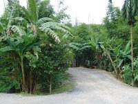 Nationalparken Kaho Sok 005