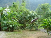 Nationalparken Kaho Sok 007