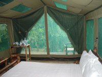 Nationalparken Kaho Sok 012