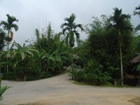 Nationalparken Kaho Sok 021