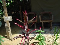 Nationalparken Kaho Sok 030