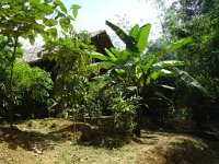 Nationalparken Kaho Sok 031