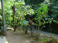 Nationalparken Kaho Sok 034