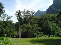 Nationalparken Kaho Sok 039