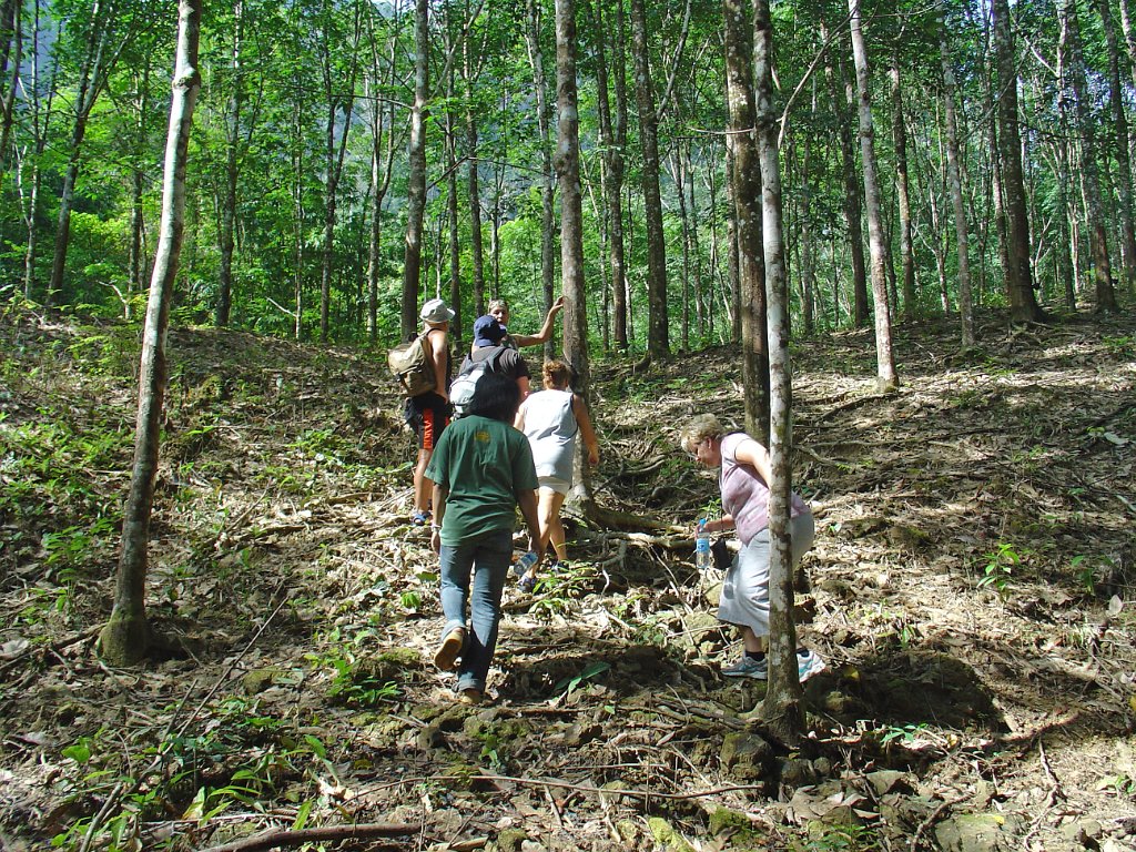 Djungelvandring Kaho Sok 003