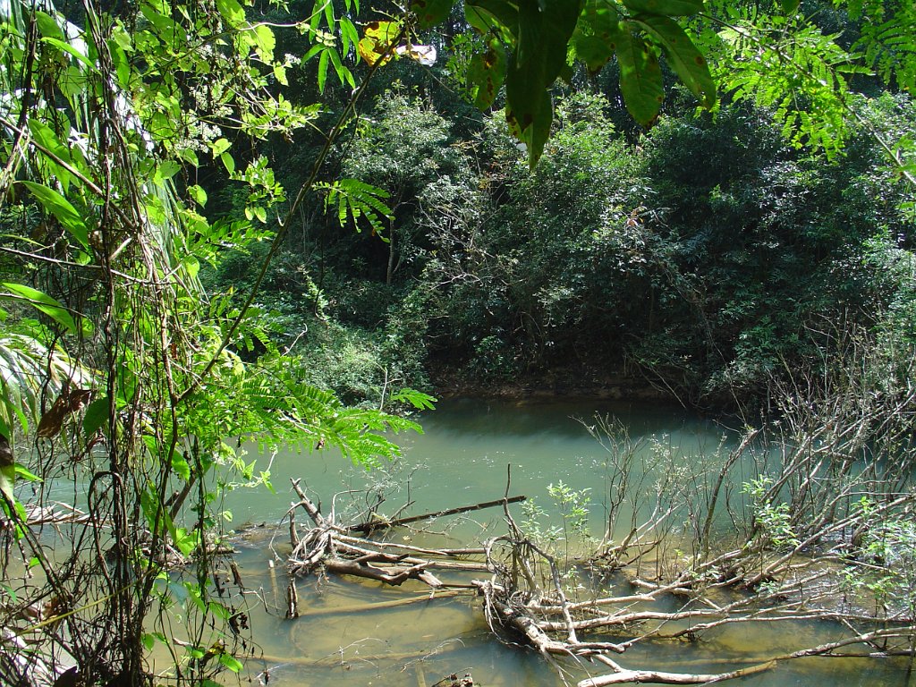 Djungelvandring Kaho Sok 008