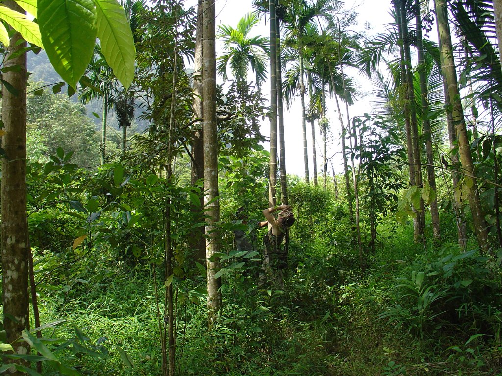 Djungelvandring Kaho Sok 024