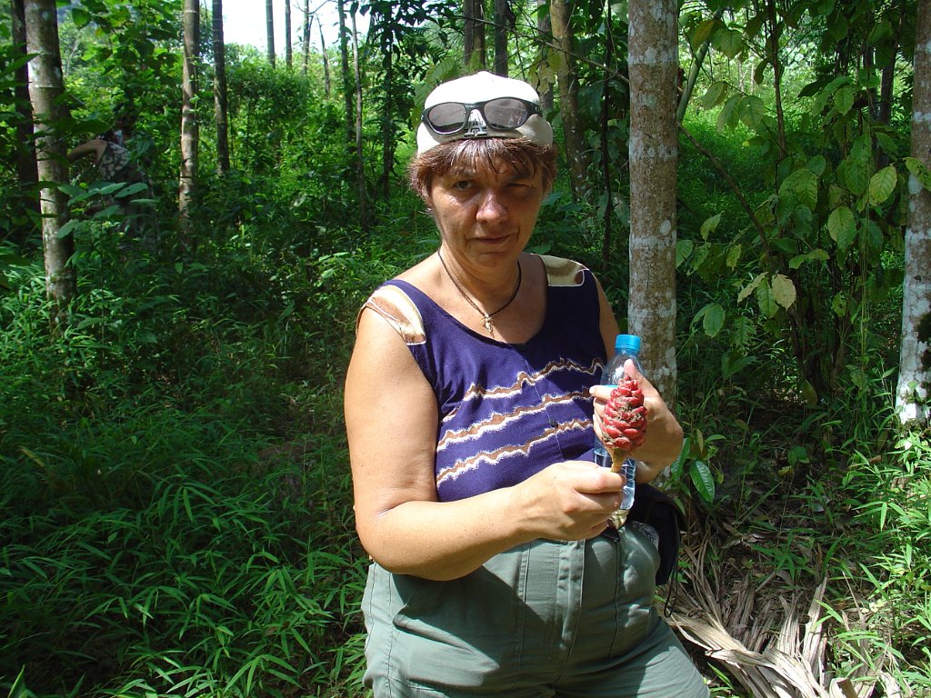 Djungelvandring Kaho Sok 025