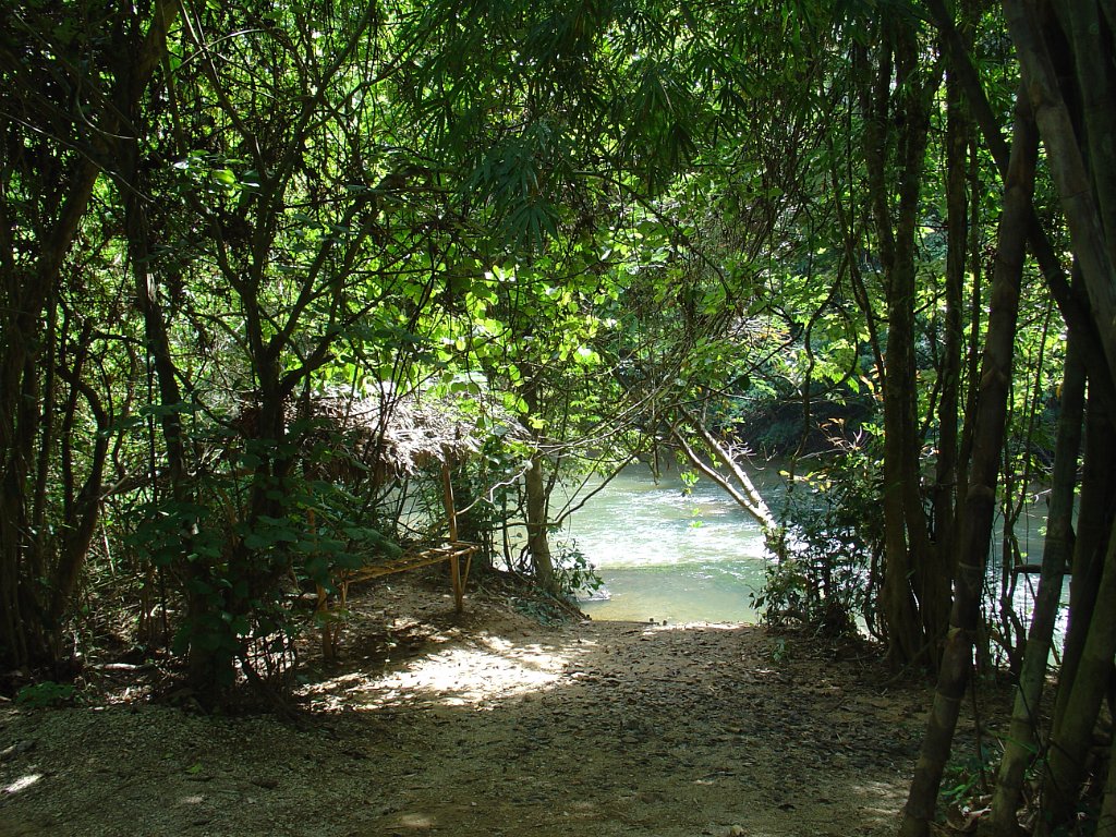 Djungelvandring Kaho Sok 029