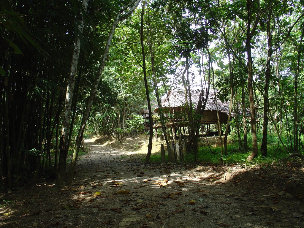 Djungelvandring Kaho Sok 030