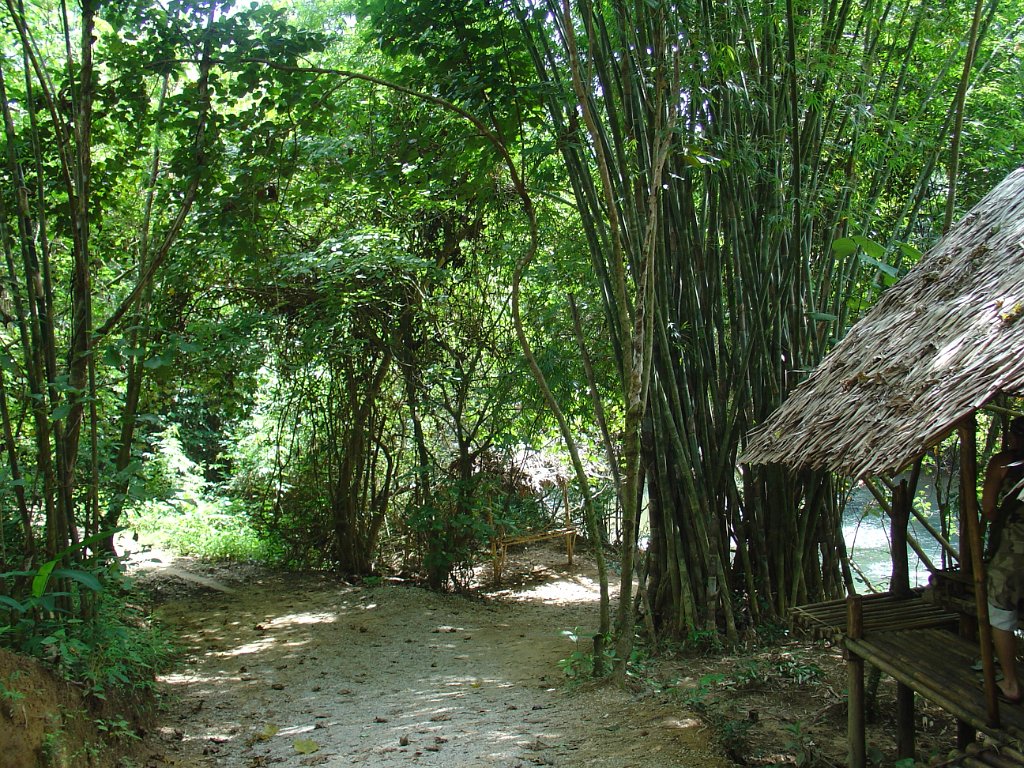 Djungelvandring Kaho Sok 031