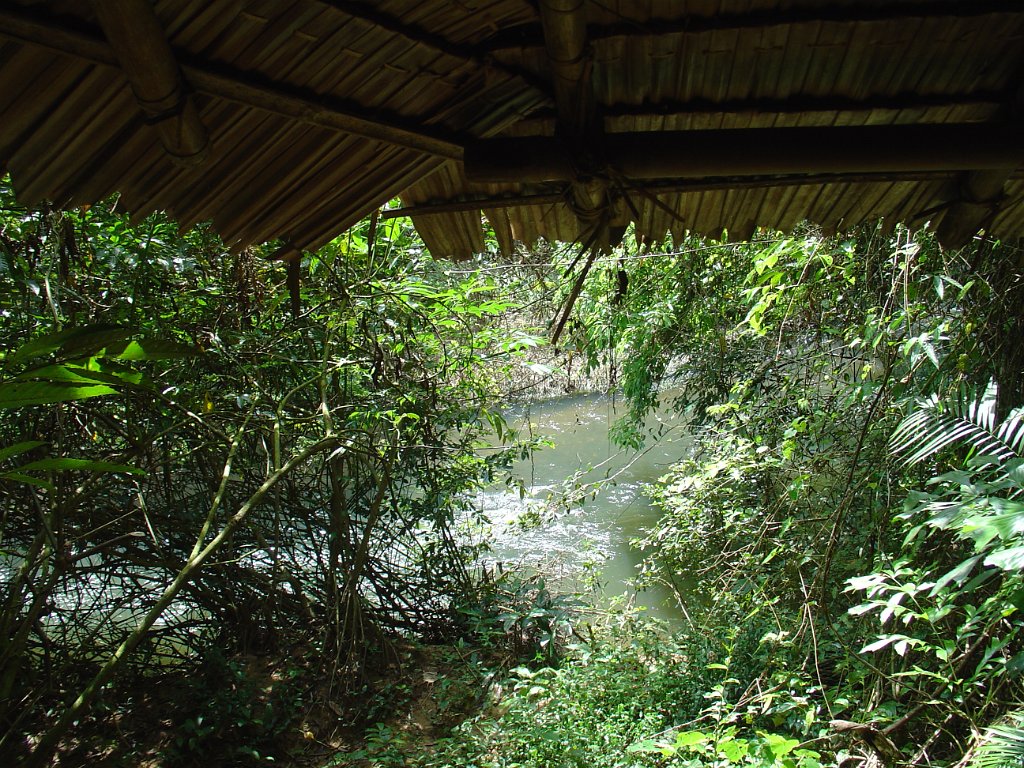 Djungelvandring Kaho Sok 032