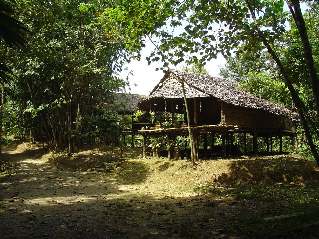 Djungelvandring Kaho Sok 033