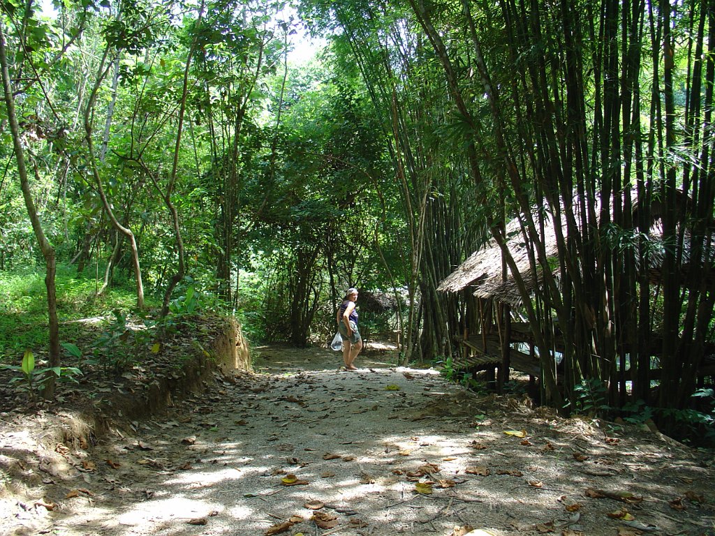 Djungelvandring Kaho Sok 034