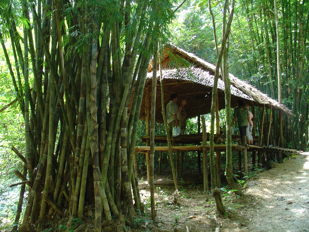 Djungelvandring Kaho Sok 036