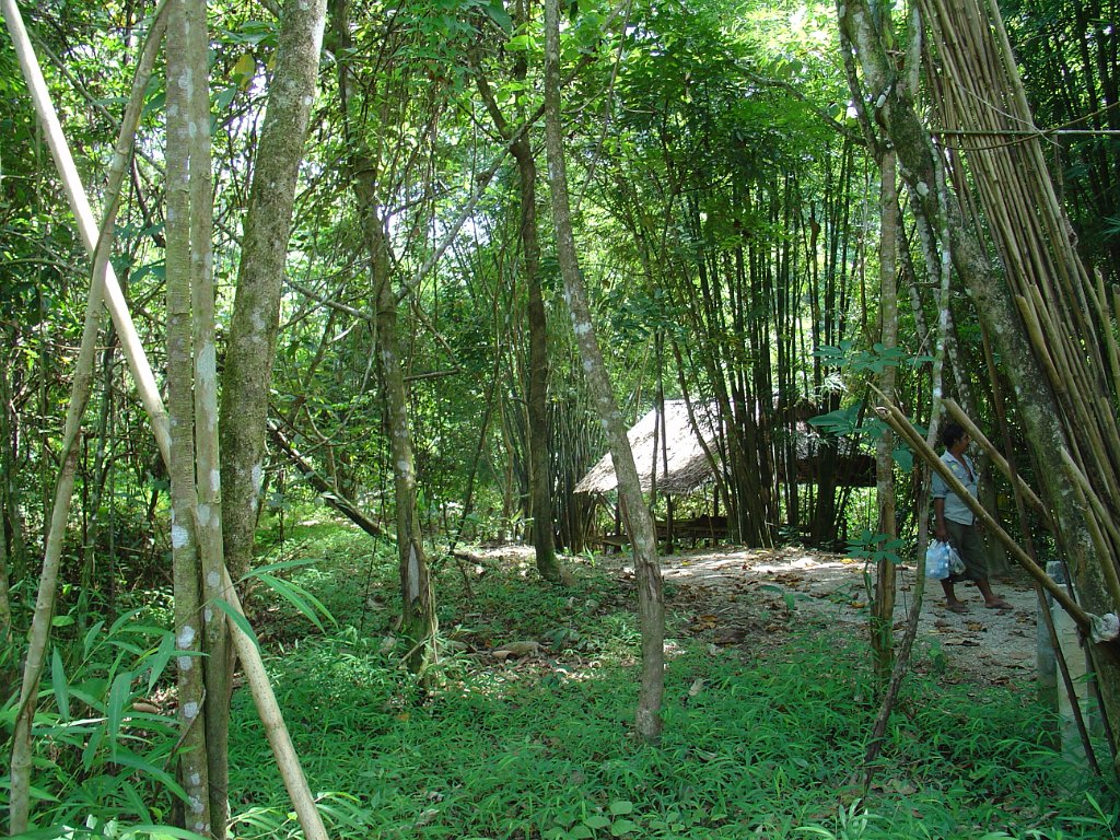 Djungelvandring Kaho Sok 039