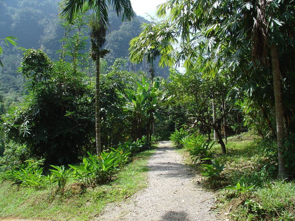 Djungelvandring Kaho Sok 041