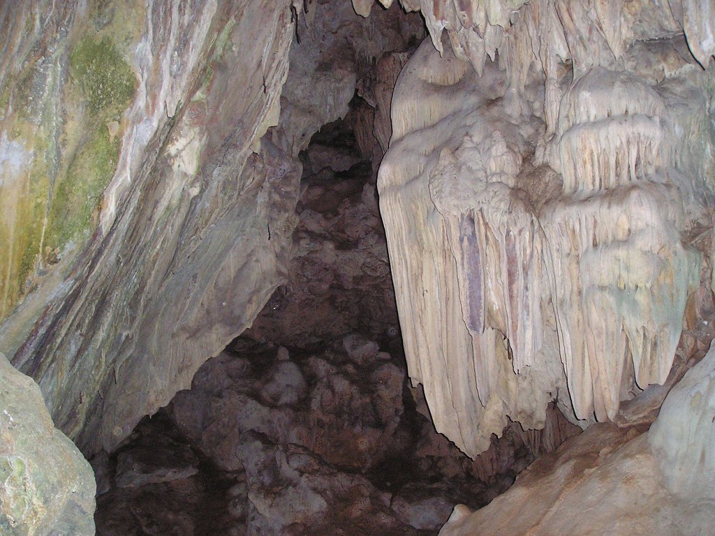 Djungelvandring Kaho Sok 047