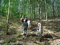 Djungelvandring Kaho Sok 003