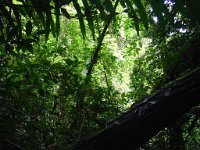 Djungelvandring Kaho Sok 004