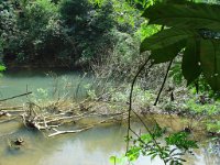 Djungelvandring Kaho Sok 009