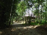Djungelvandring Kaho Sok 030