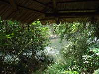 Djungelvandring Kaho Sok 032