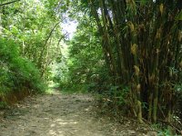 Djungelvandring Kaho Sok 035