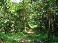 Djungelvandring Kaho Sok 037