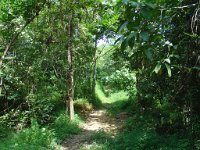 Djungelvandring Kaho Sok 038