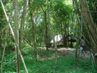 Djungelvandring Kaho Sok 039