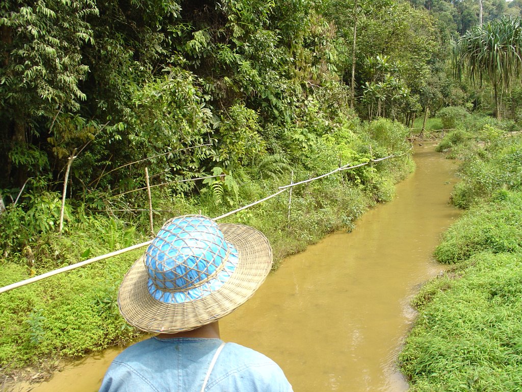 Elefantridning Kaho Sok 002