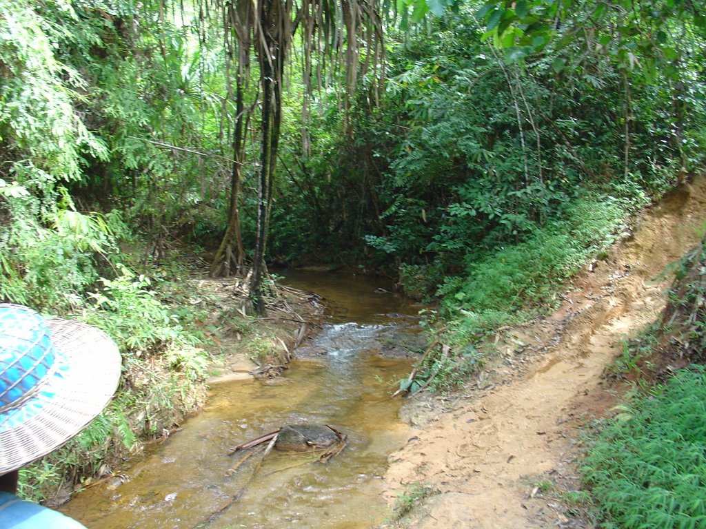 Elefantridning Kaho Sok 004