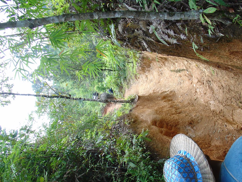 Elefantridning Kaho Sok 005