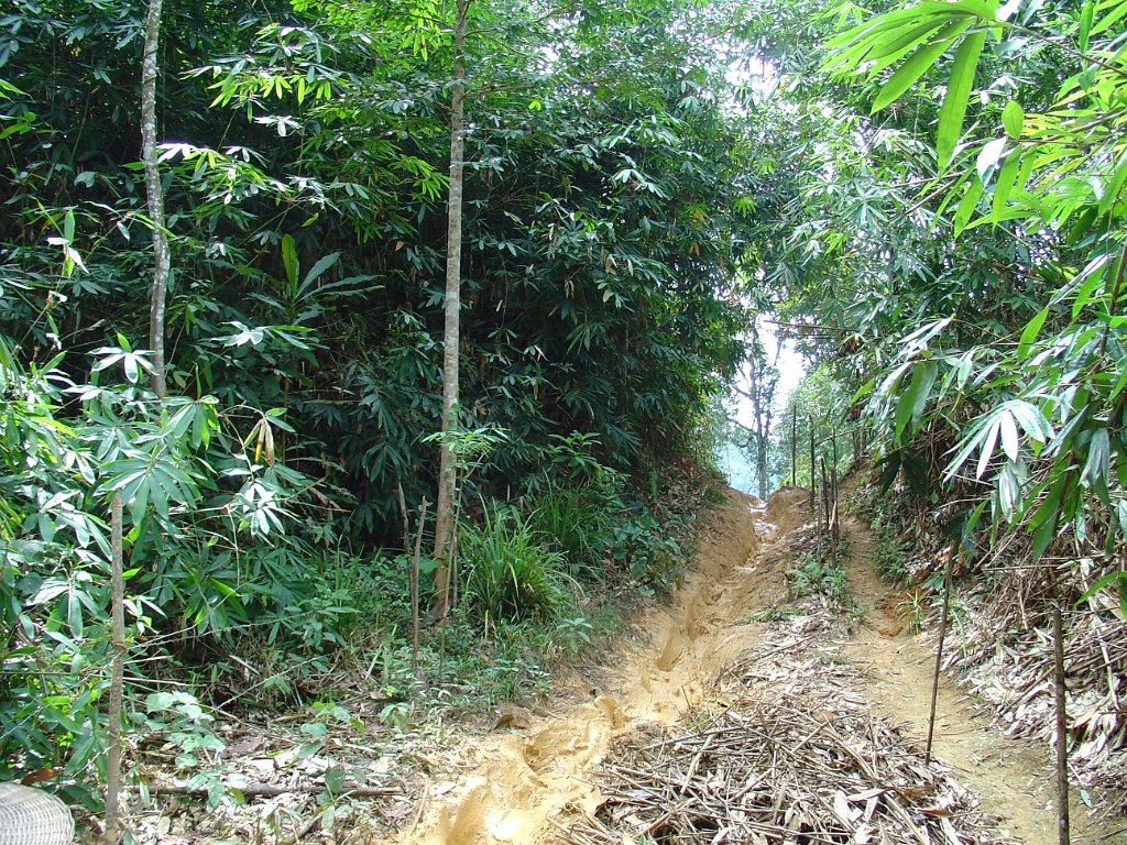 Elefantridning Kaho Sok 010