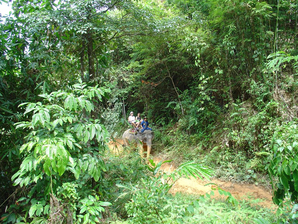 Elefantridning Kaho Sok 013