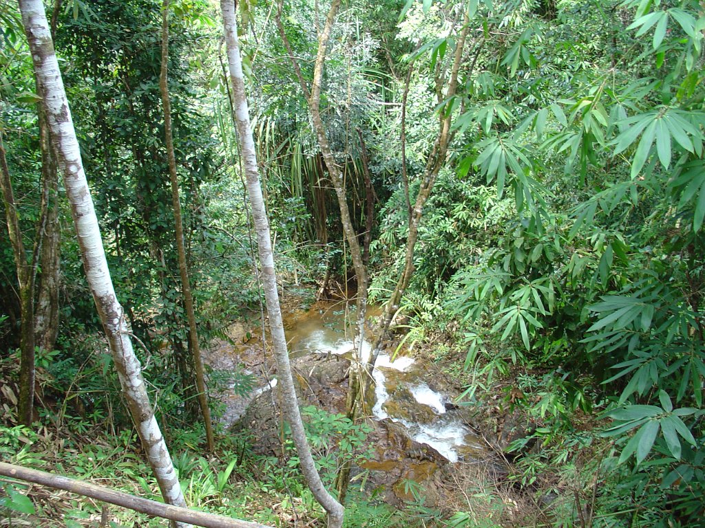 Elefantridning Kaho Sok 014