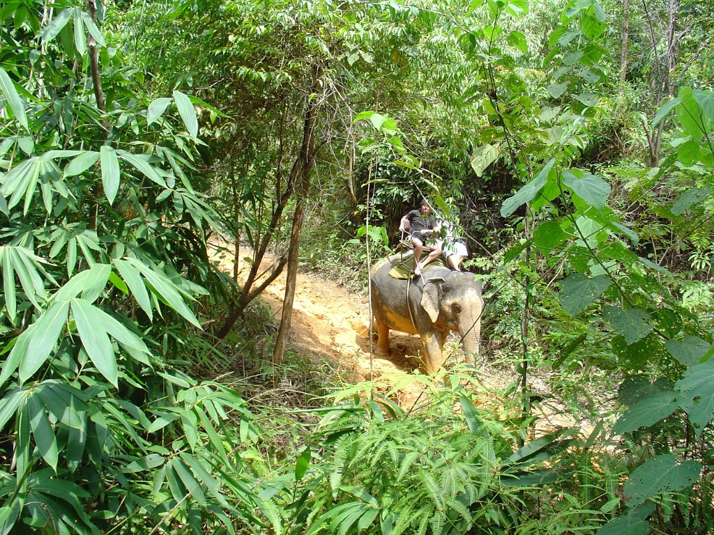 Elefantridning Kaho Sok 018