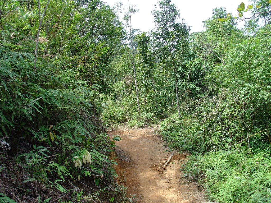 Elefantridning Kaho Sok 019