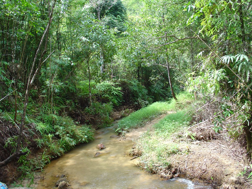 Elefantridning Kaho Sok 020