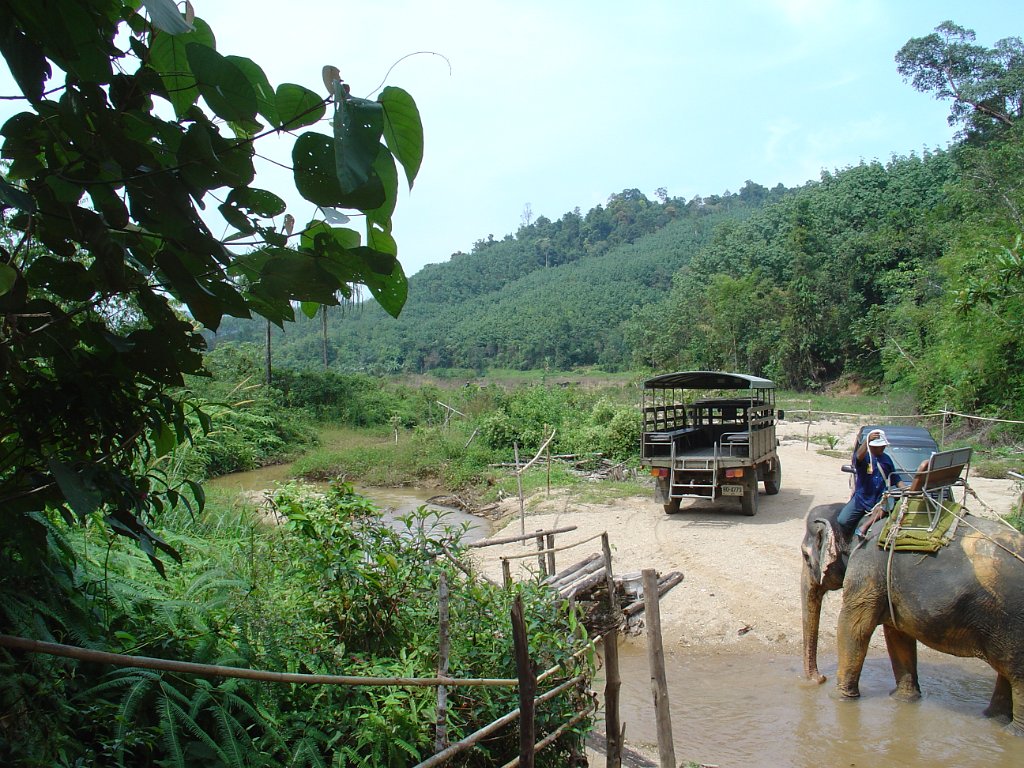 Elefantridning Kaho Sok 023