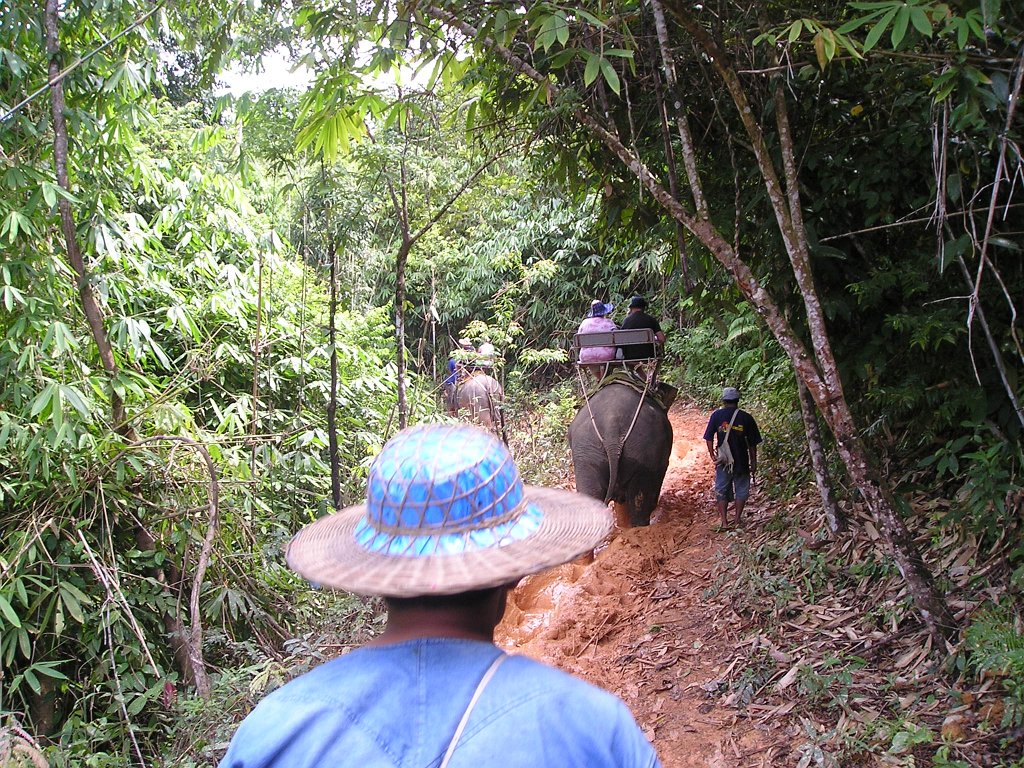 Elefantridning Kaho Sok 029