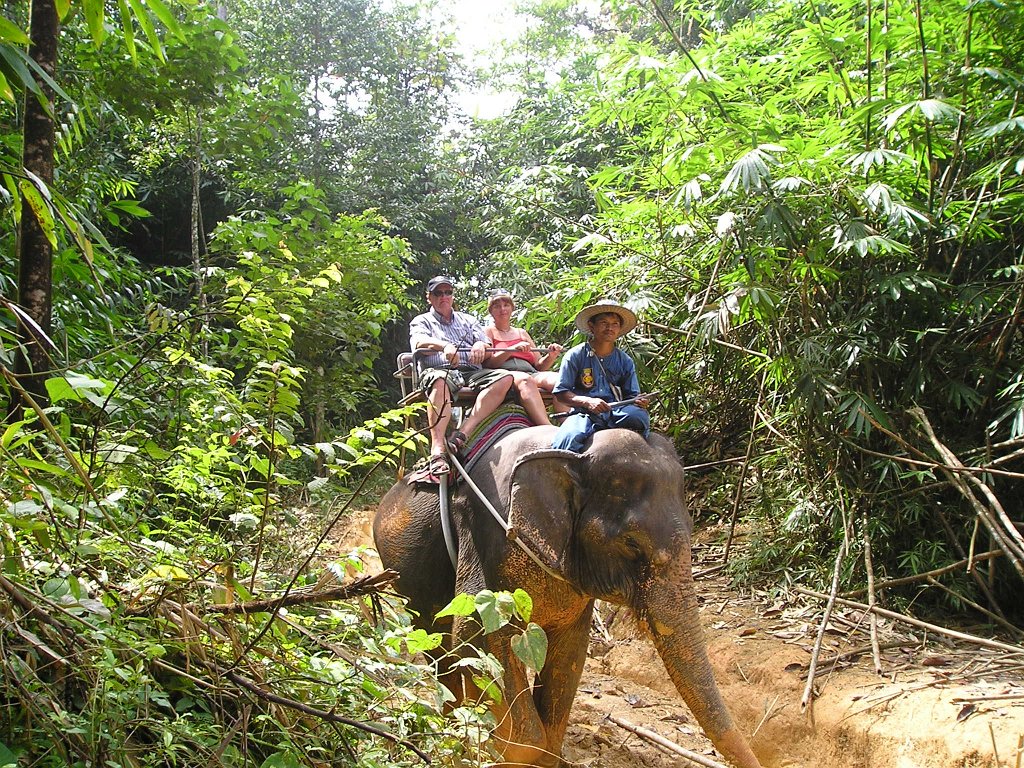 Elefantridning Kaho Sok 033