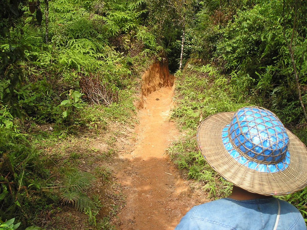 Elefantridning Kaho Sok 035