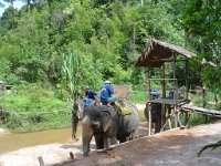 Elefantridning Kaho Sok 001
