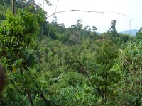 Elefantridning Kaho Sok 007