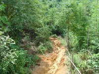 Elefantridning Kaho Sok 011