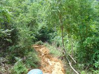 Elefantridning Kaho Sok 012